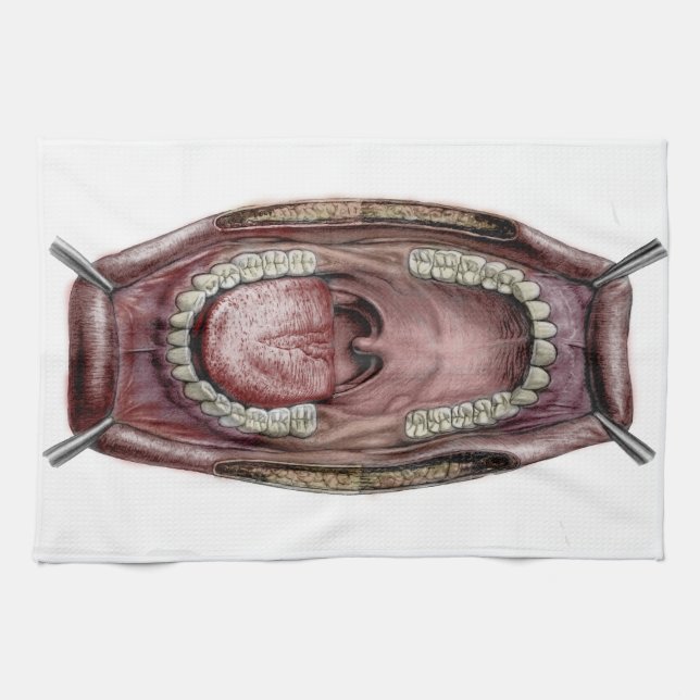 mouth anatomy kitchen towel (Horizontal)