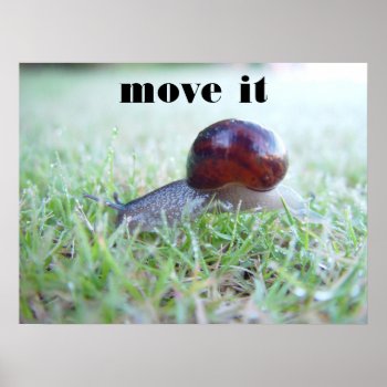 Move It Poster by Rockethousebirdship at Zazzle