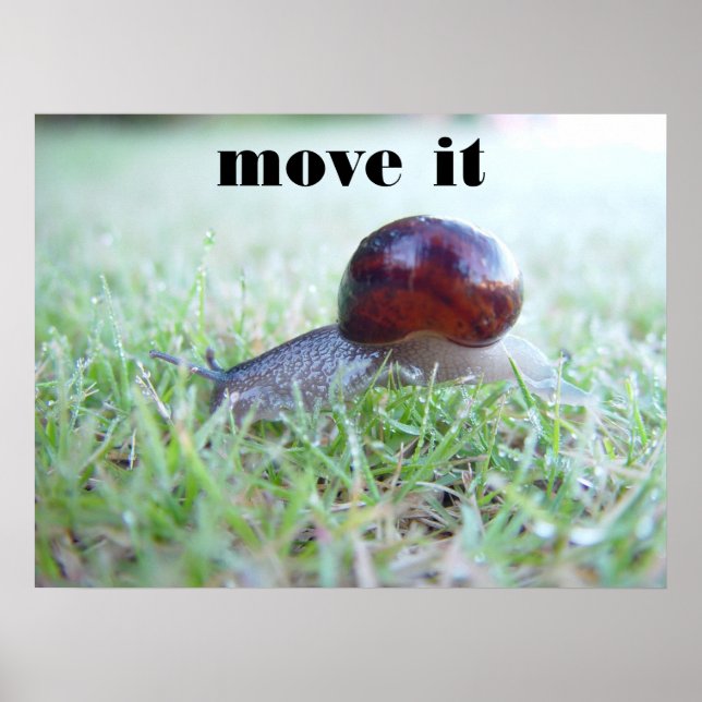 move it poster (Front)