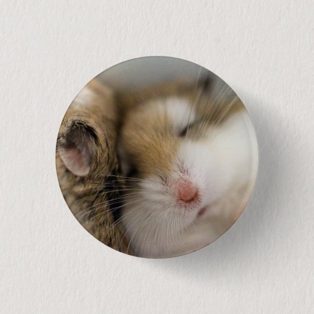 Move over Bob Button (Front)