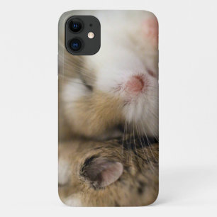Move over Bob!  iPhone 11 Case