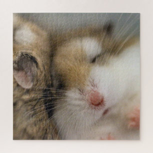 Move over Bob Jigsaw Puzzle