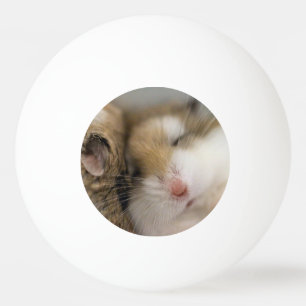 Move over Bob Ping Pong Ball