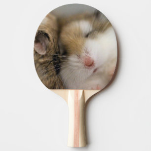 Move over Bob Ping Pong Paddle