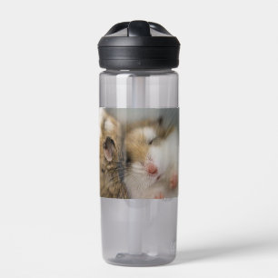 Move over Bob Water Bottle