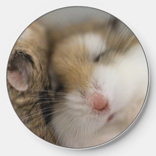 Move over Bob Wireless Charger