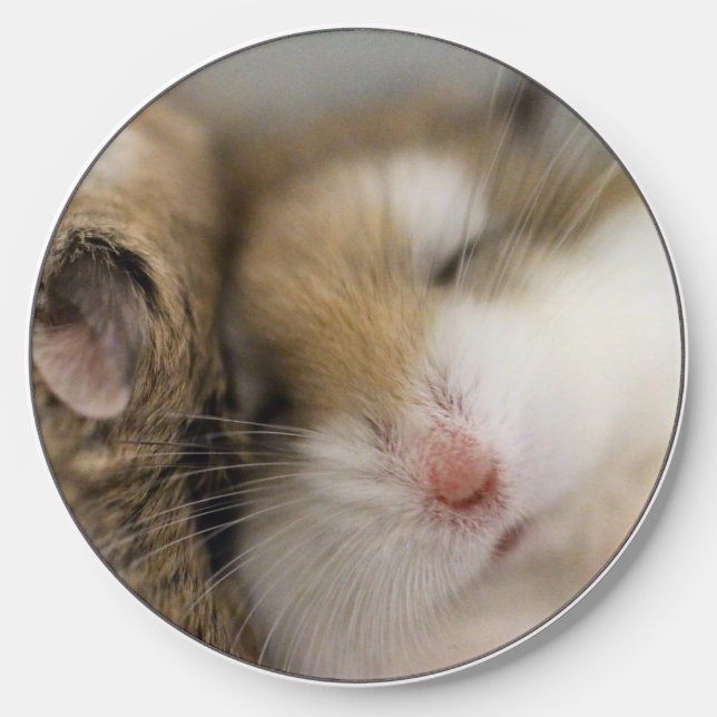 Move over Bob Wireless Charger (Front)