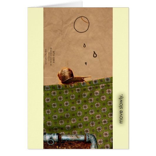 move slowly. cards (Front)