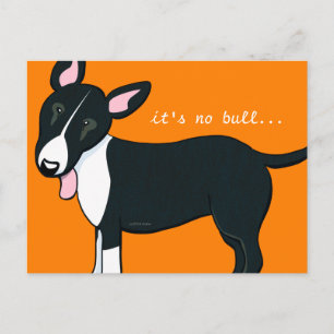 Moved Bull Terrier Dog New Address Announcement Postcard