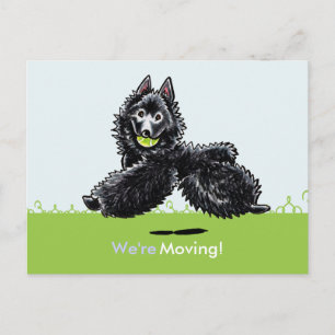 Moved Moving Schipperke New Address Announcements
