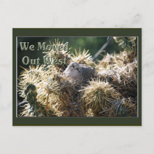 Moved Out West Postcard