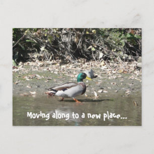 Moving along to a new place... announcement postcard