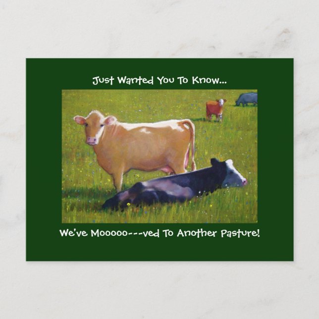 MOVING ANNOUNCEMENT: Cows in Pature: Painting Announcement Postcard (Front)