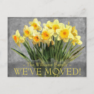 Moving Announcement Floral Yellow Daffodil Postcard