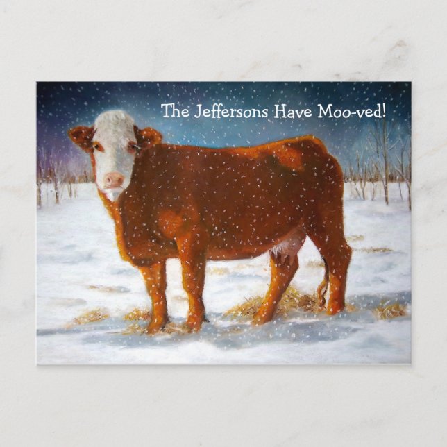 MOVING ANNOUNCEMENT: HEREFORD BEEF COW ANNOUNCEMENT POSTCARD (Front)