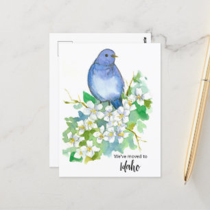 Moving Announcement Idaho Mountain Bluebird Flower Postcard