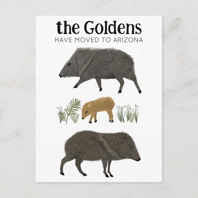 MOVING ANNOUNCEMENT Javelina Family Desert Arizona Postcard (Front)