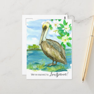 Moving Announcement Louisiana Pelican Magnolia Postcard