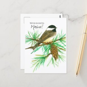 Moving Announcement Maine Chickadee Pinecone Tree Postcard