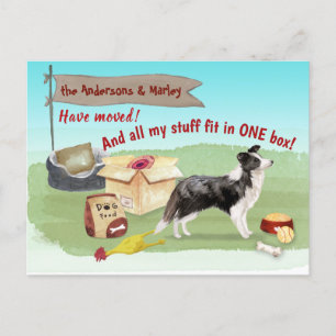 Moving Border Collie Dog Our New Home Address   Postcard