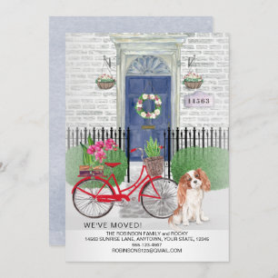 Moving Cavalier King Charles Bicycle New Home Announcement