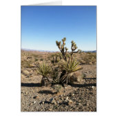 Moving, Changing Jobs, Changing Careers, Divorce (Front)