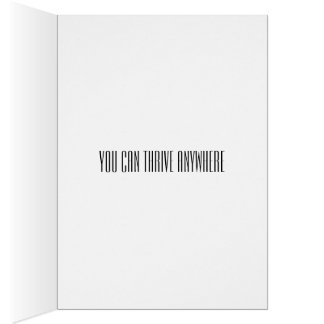 Moving, Changing Jobs, Changing Careers, Divorce Cards