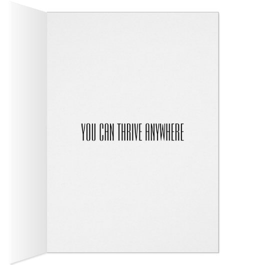 Moving, Changing Jobs, Changing Careers, Divorce Cards (Inside (Right))