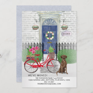 Moving Chocolate Labrador Retriever Bicycle Door  Announcement