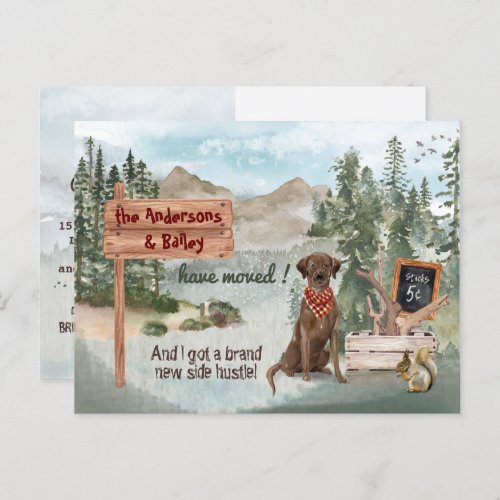Moving Chocolate Labrador Retriever New Address   Announcement Postcard