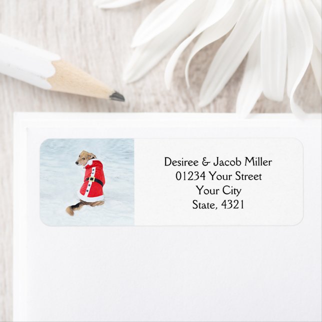 Moving Cute Christmas Dog In Snow Red Santa Suit Label (Insitu)