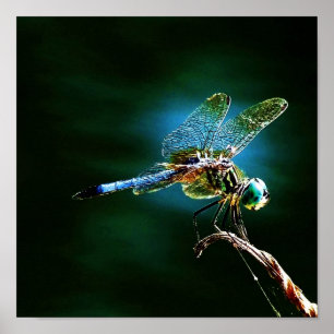 Moving Fast While Standing Still Poster