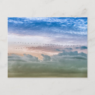 Moving Forward Bird Migration Team Inspiration Postcard