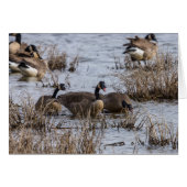 Moving In (Front Horizontal)