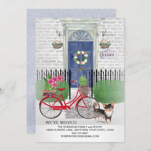 Moving Long Haired Chihuahua Bicycle Blue Door  Announcement