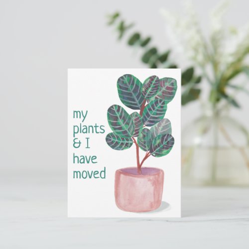 MOVING New Home Address Prayer Plant Watercolor Postcard