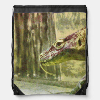 Moving slowly and deliberately drawstring bag