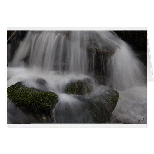 Moving water 1 cards (Front Horizontal)