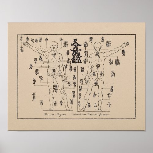 Moxa Points in Japanese Acupuncture Moxibustion Poster