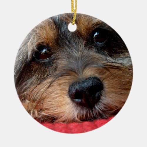 Moxi Clean as a Whistle Shorkie Ornament