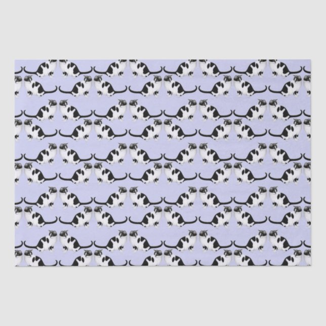 Moxie the Black & White Tuxedo Cat Tissue Paper (Front)