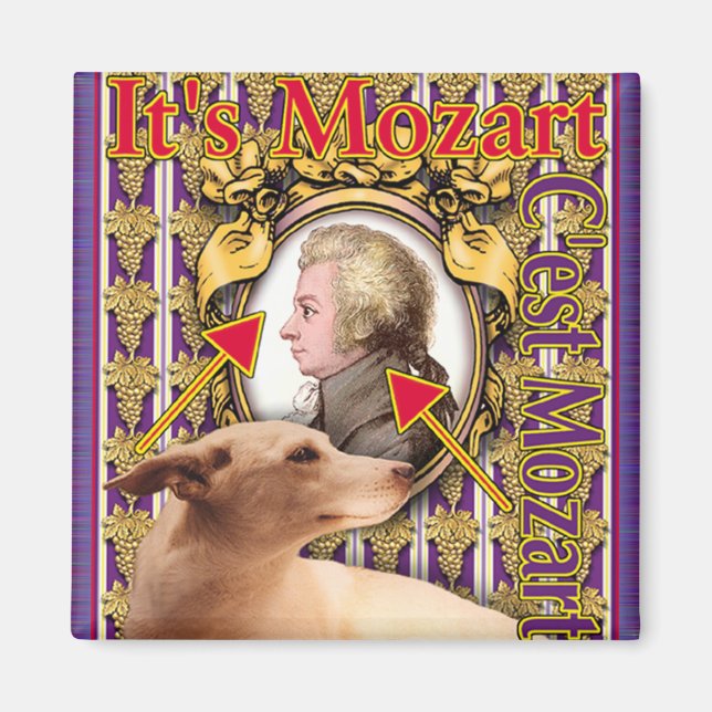 MOZART MAGNET (Front)