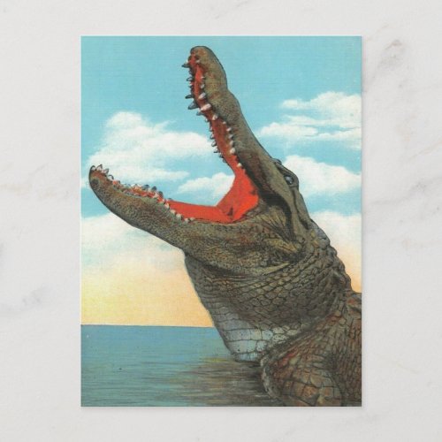 Mr Alligator Postcard