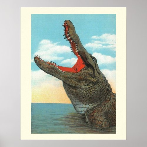 Mr Alligator Poster