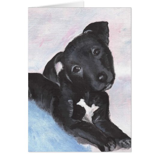 Mr.Alvie Cards (Front)