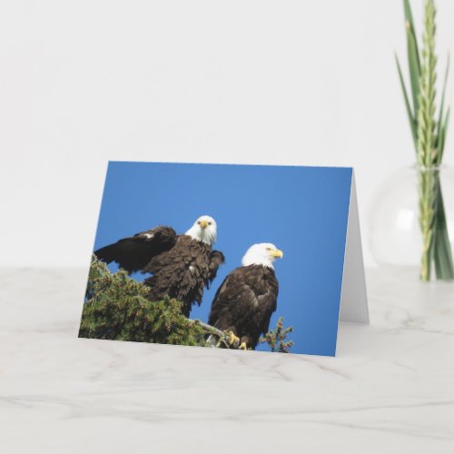 Mr and Mrs Bald Eagle Holiday Card