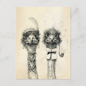 Mr. and Mrs. Ostrich Postcard
