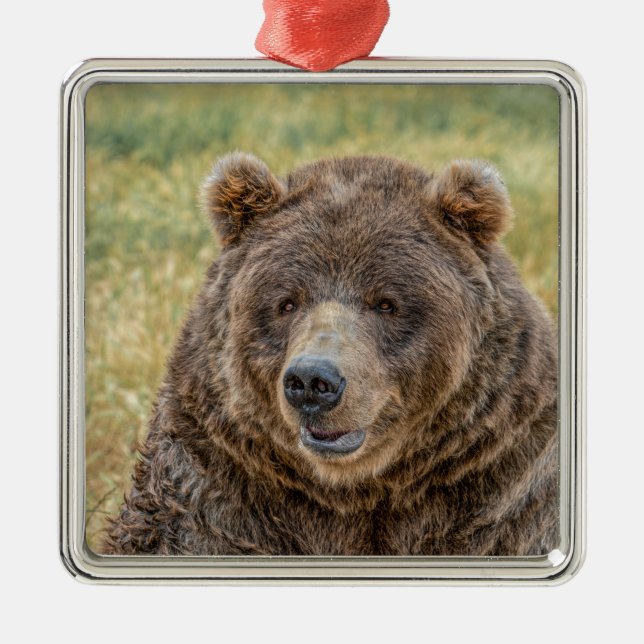 Mr. Bear Metal Ornament (Front)