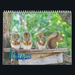 Mr. Bickles Two Page Medium White Calendar<br><div class="desc">Mr. Bickles The Squirrel 2025 calendar.  Featuring the endearing family of Mr. Bickles - living wild in Manitoba,  Canada.
Photography by Prue Critchley</div>