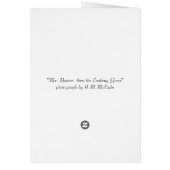 Mr. Bootee, thru the Looking Glass Cards (Back)